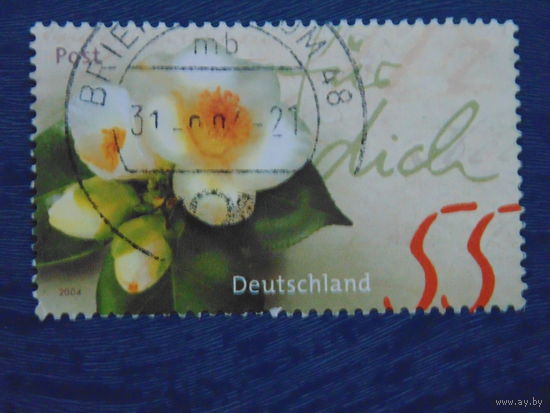 Германия 2004 г.
