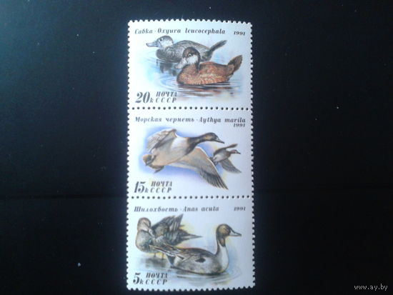 1991 Утки** сцепка