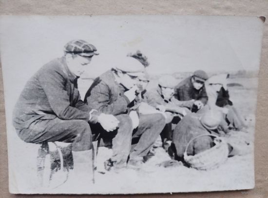 Фото в коллекцию