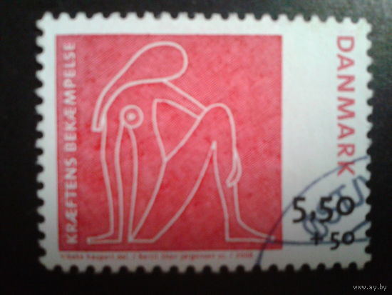 Дания 2008 женщина
