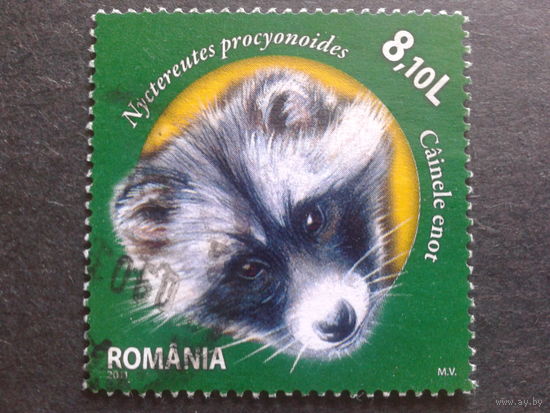Румыния 2011 енот Mi-6,5 евро
