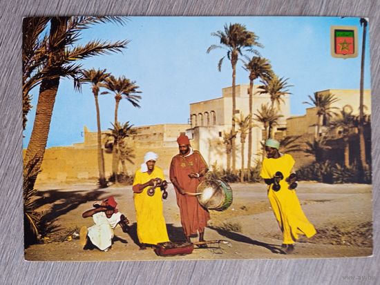 Этнография. Марокко. Традиционные музыканты