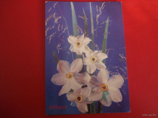 Открытка С 8 марта (чистая, СССР)