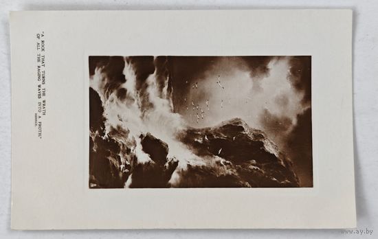 До 1917 года  открытка