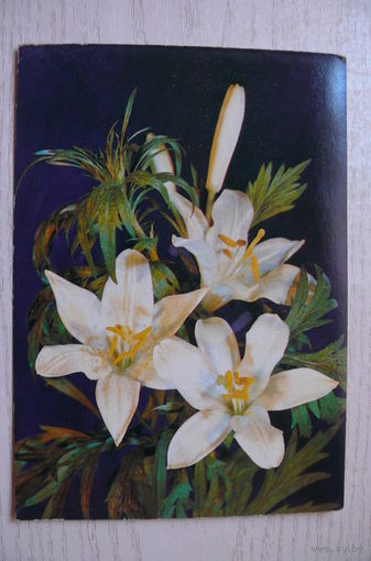 Дергилев И., Цветы, 1989, чистая.
