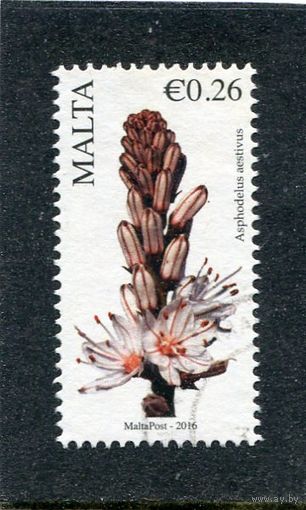 Мальта. Флора. Цветы