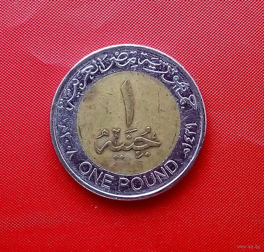 43-13 Египет, 1 фунт 2008 г.