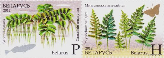 922-923. Флора. Исчезающие растения Беларуси. Папоротники. 2012 год. Беларусь **
