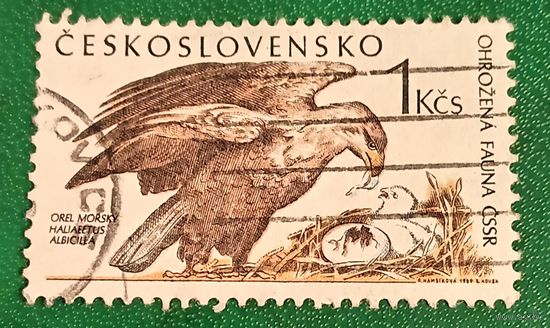 Чехословакия 1989. Орлан-белохвост с птенцами