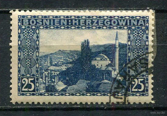 Босния и Герцеговина (Австро-венгерская администрация) - 1906 - г. Сараево 25H - [Mi.36] - 1 марка. Гашеная.  (Лот 33FP)-T25P25