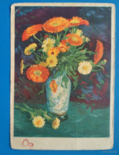 Голяковский Е. Цветы. 1960 г. Подписана.