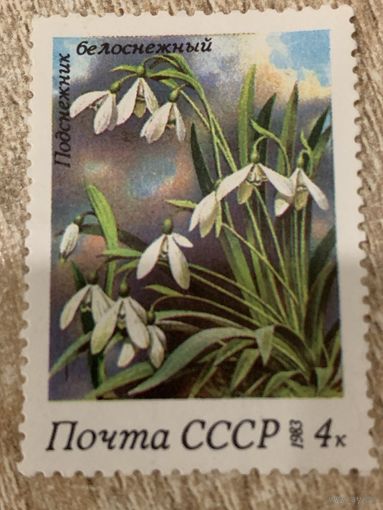 СССР 1983. Подснежник белоснежный. Марка из серии