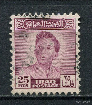 Ирак - 1948/1950 - Король Фейсал II 25F - [Mi.139] - 1 марка. Гашеная.  (LOT Dj23)
