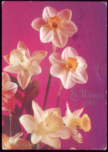 1988 год П.Костенко 8 марта 2