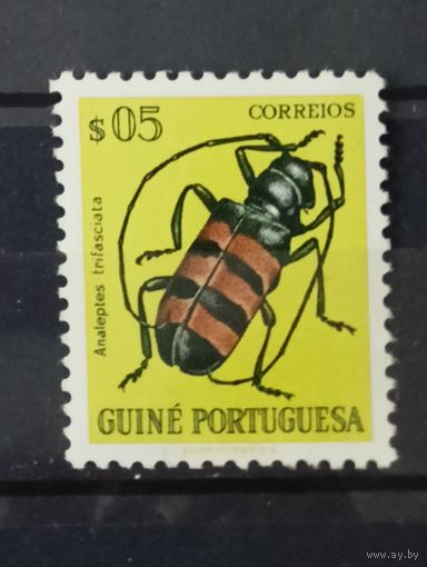 Португальская Гвинея насекомые