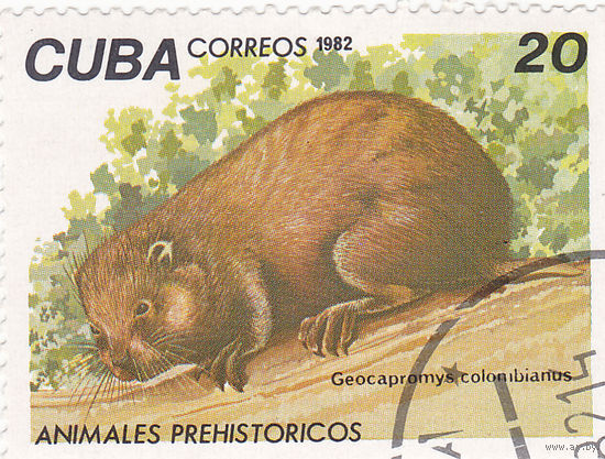 Куба: Доисторические животные - Кубинский кани (Geocapromys Colombianus)