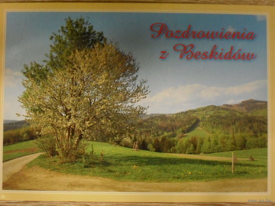 ОТКРЫТКА ПРОШЕДШАЯ ПОЧТУ.ПОЛЬША. БЕСКИДЫ. ГОРЫ.ДЕРЕВЬЯ.
