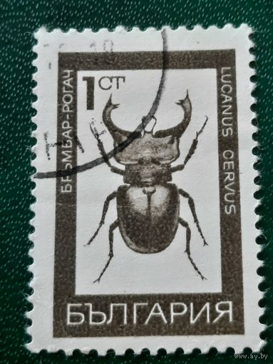 Болгария 1968. Жуки. Lucanus Cervus. Марка из серии
