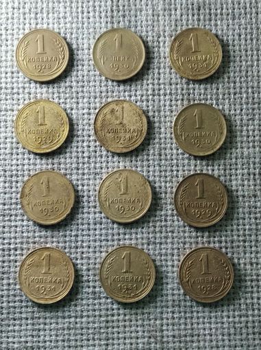Сборный 1 копейка до реформы 1928-1931 г. ( 12 ШТ. )
