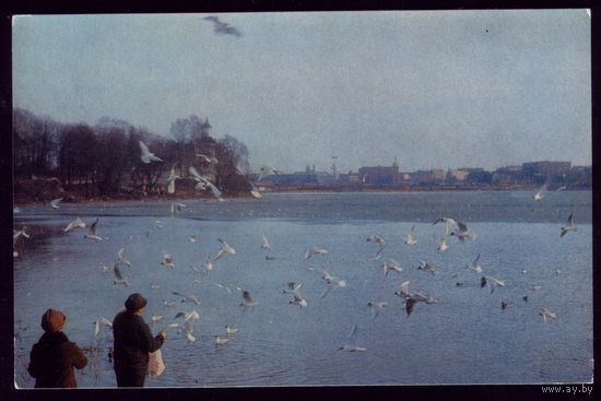 1971 год Хельсинки Залив Лахти