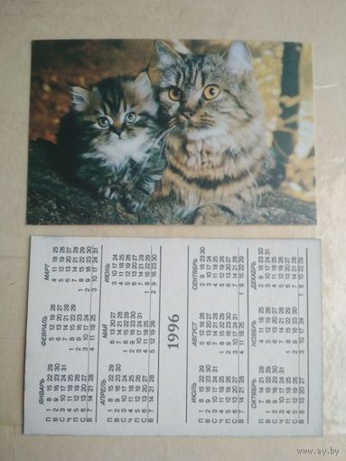 Карманный календарик. Кошки . 1996 год