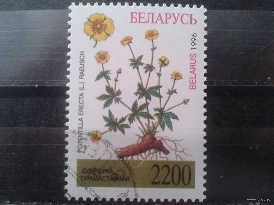 1996 Дубровка