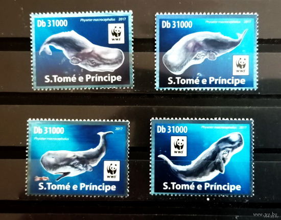 С ТОМИ ПРИНЦИПИ 2017  Дикая Фауна  ОХРАНА ПРИРОДЫ WWF MNH