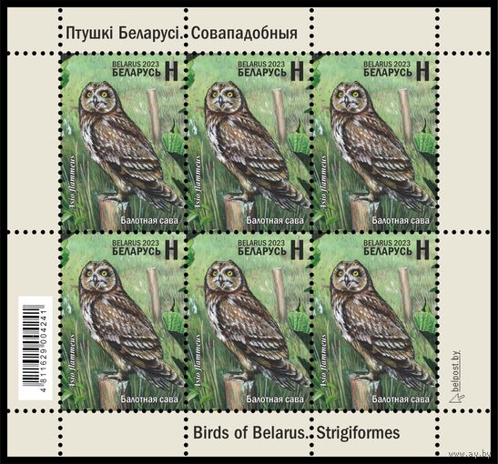 2023 БЕЛАРУСЬ Малый лист "Птицы Беларуси. Совообразные"  MNH
