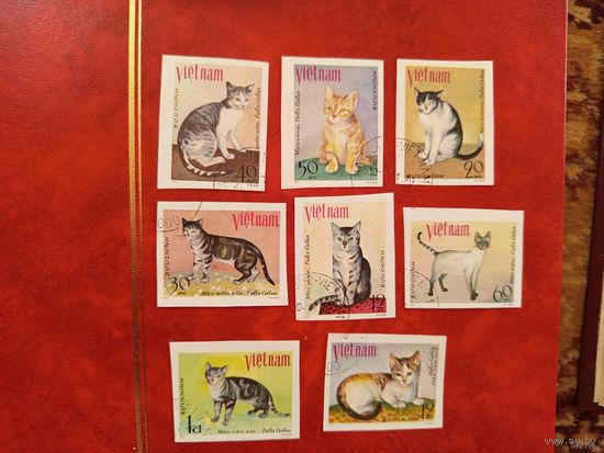 1979 Вьетнам Мих 1063u-1070u полная серия без зубцов редкая фауна кошки (3-9)