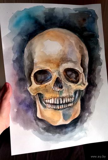 Череп. Рисунок а3 формат. Акварель