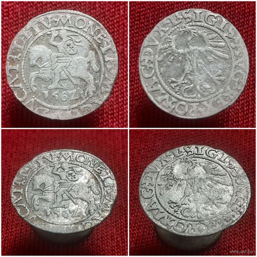 Полугрош 156Z  года