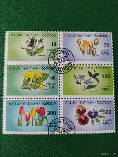 Флора. Батуми