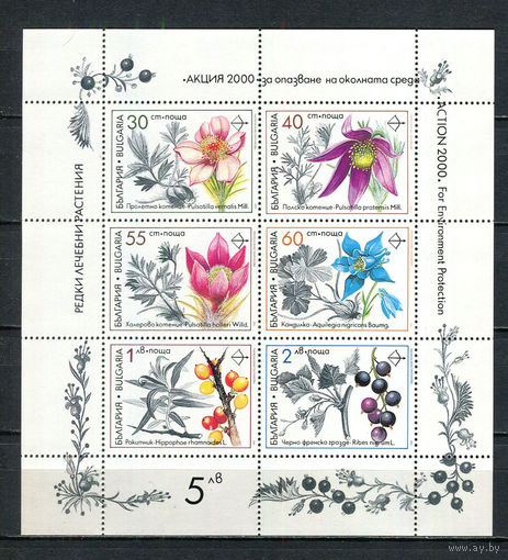 Болгария - 1991 - Флора. Защита окружающей среды - [Mi. 3953-3958] - полная серия - малый лист. MNH.  (Лот 70HJ)-T41P51