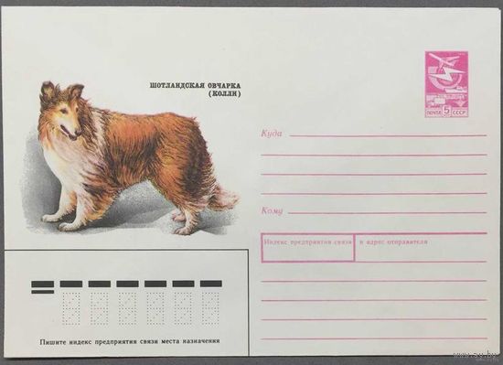 ХМК СССР 1989г Шотландская овчарка