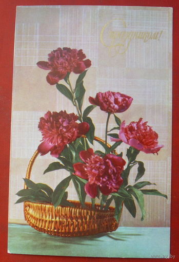 С праздником! Чистая. 1980 года. Фото Елениной. 1453.