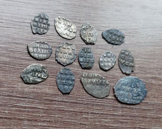 Чешуйки, копейки 13 шт