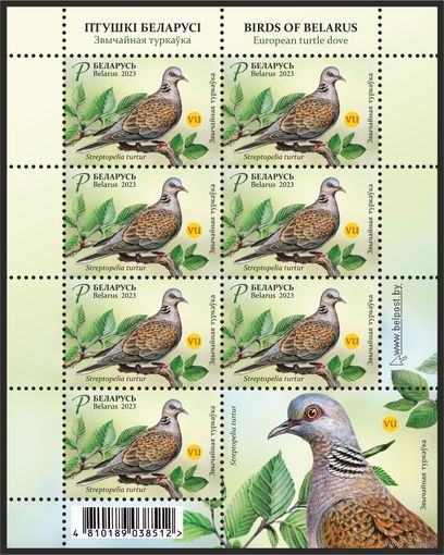 2023г Беларусь MNH Малый лист "Птушкi Беларусi. Звычайная туркаука"