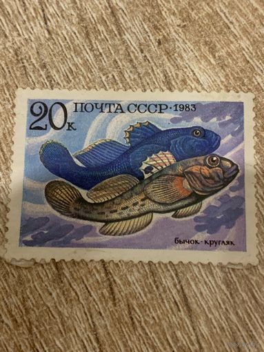 СССР 1983. Бычок-кругляк. Марка из серии