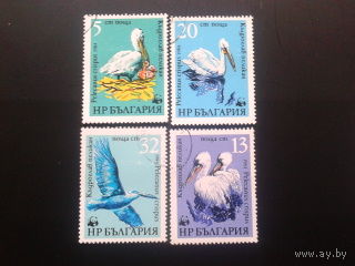 Болгария 1984 пеликаны WWF полная серия