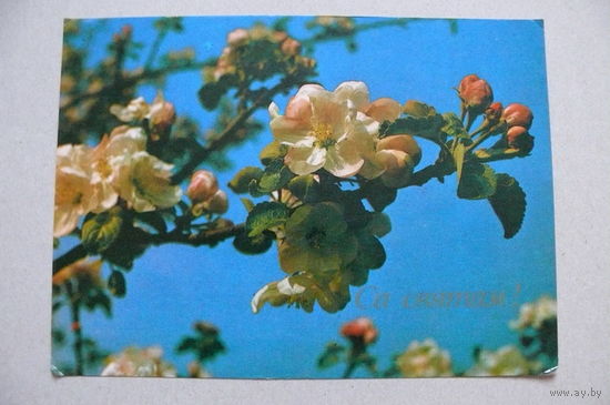 Амельянчик В.(фото), Скварко Э., С праздником! (на белорусском языке), 1985, чистая.