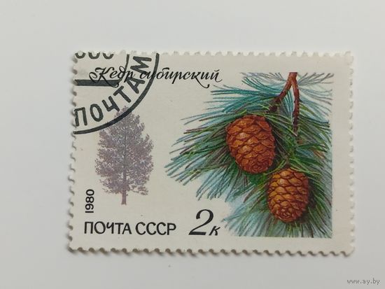 1980 СССР. Деревья и кустарники