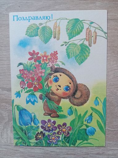 Жебелева 1989, чистая