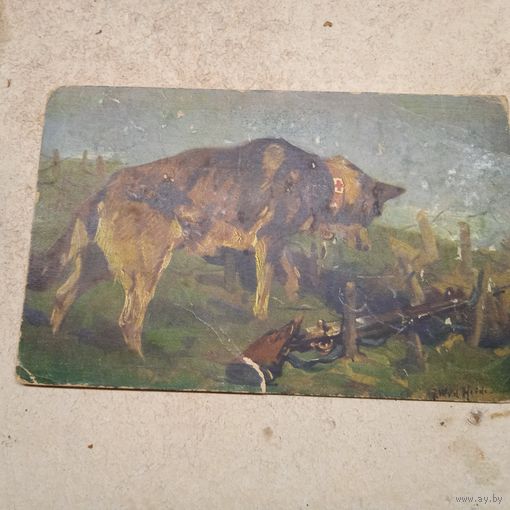 Старинные открытки 1915г. Германия.