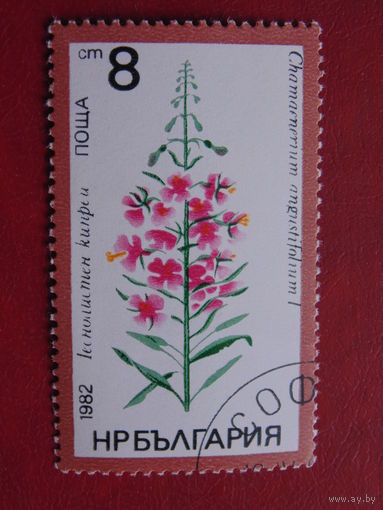 Болгария 1982 г. Цветы.