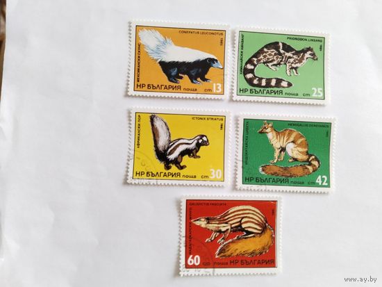 Болгария 1985 5 м