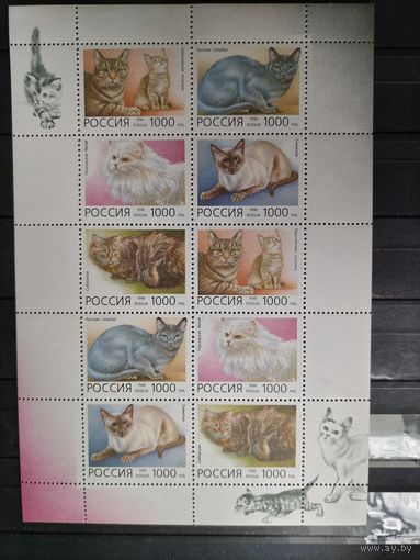 1996г. Россия.домашние породы кошек. М.Л.