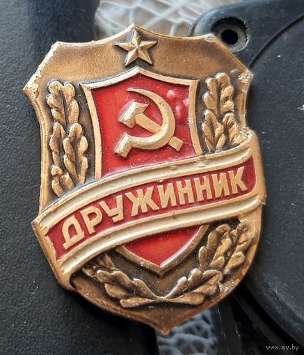 Дружинник