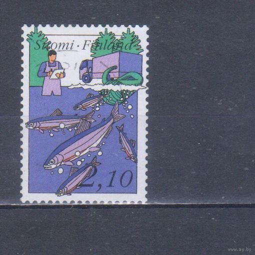 [2491] Финляндия 1991. Фауна.Рыба.Зарыбление водоемов. Гашеная марка.