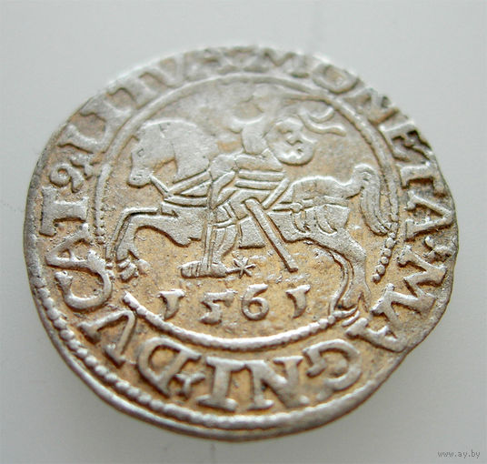 Полугрош 1561, Жигимонт Август, Вильно. Окончания легенд: Ав - LI, Рв - LITVA. Штемпельный блеск, коллекционное состояние