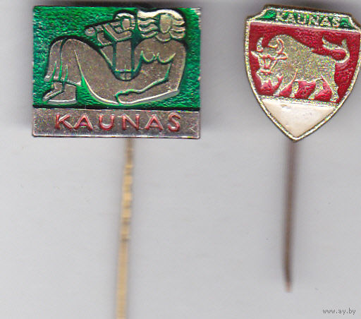 Каунас (Литва).